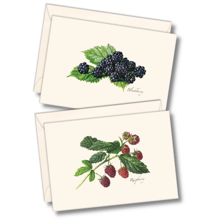 Berry Assortment II | 8 Card Set