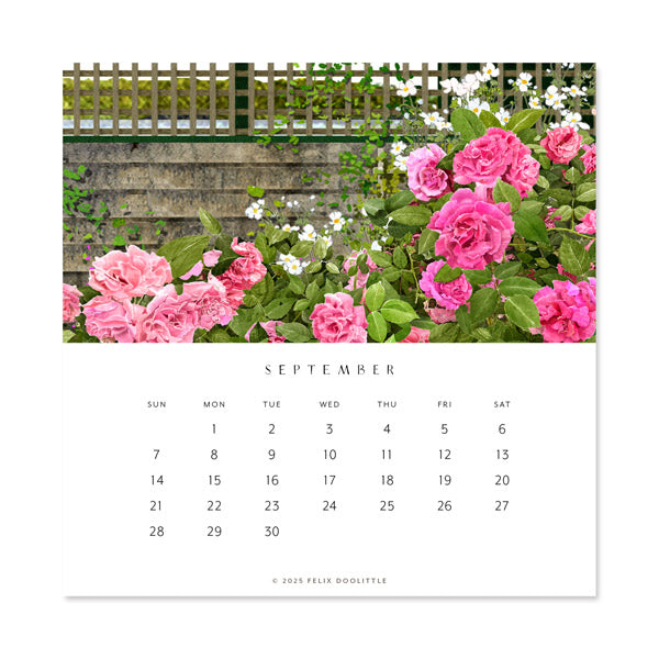 Hidden Garden | 2025 Desk Calendar