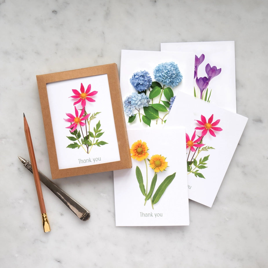 Thank You Notes | Assorted 8 Card Set