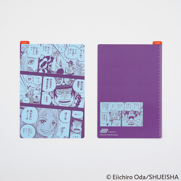 One Piece 2025 Edition Hobonichi Pencil Board