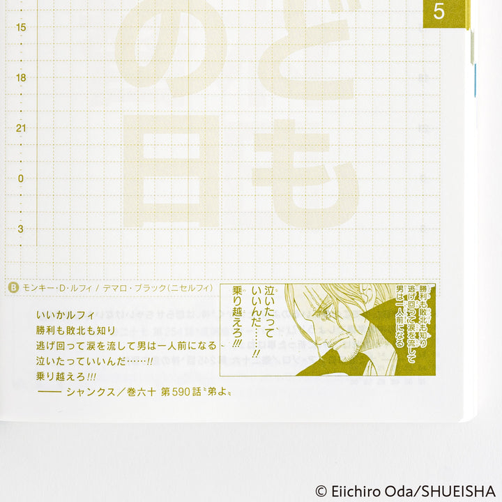 Hobonichi Techo 2025 A6 Planner | One Piece Edition | Book Only | Japanese