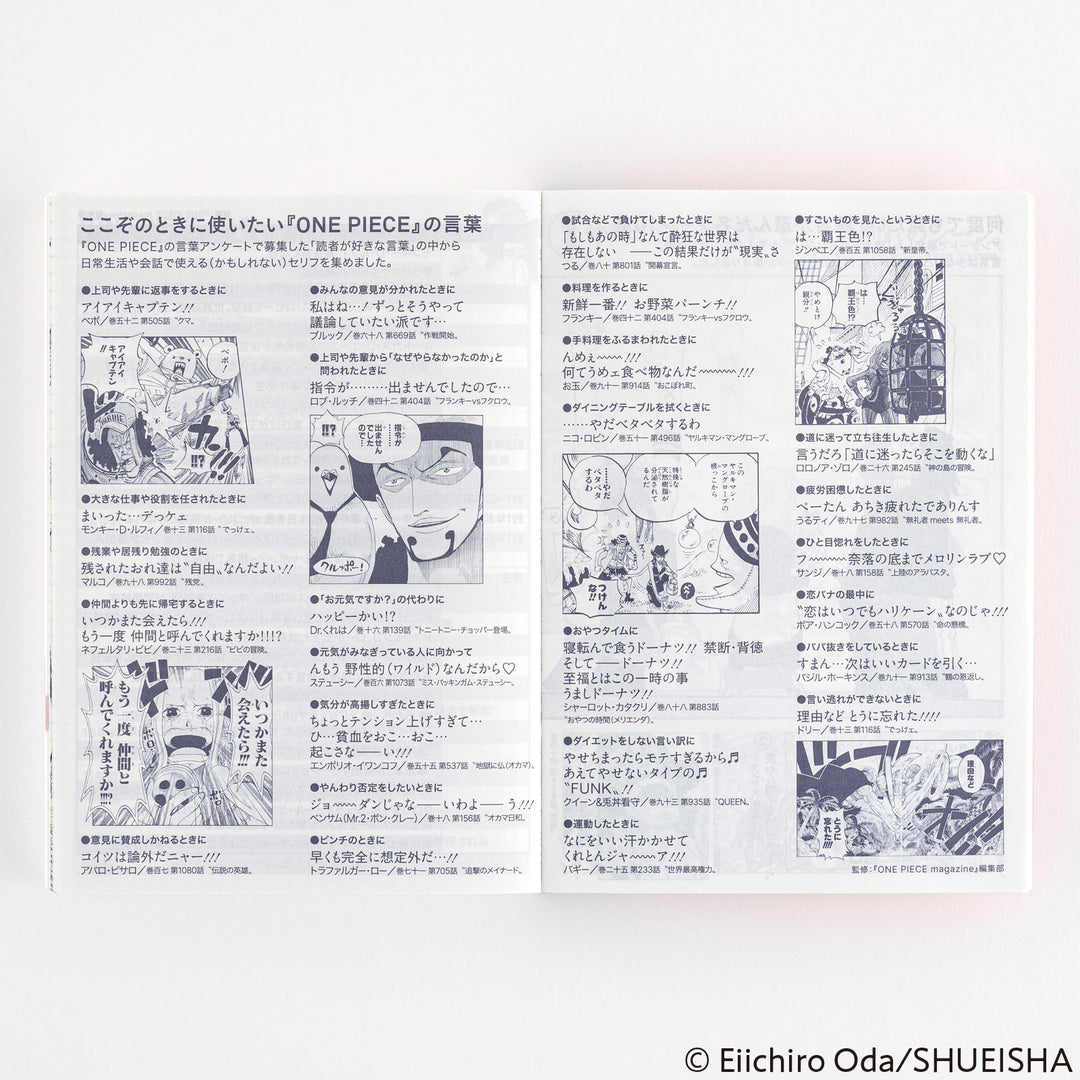 Hobonichi Techo 2025 A6 Planner | One Piece Edition | Book Only | Japanese