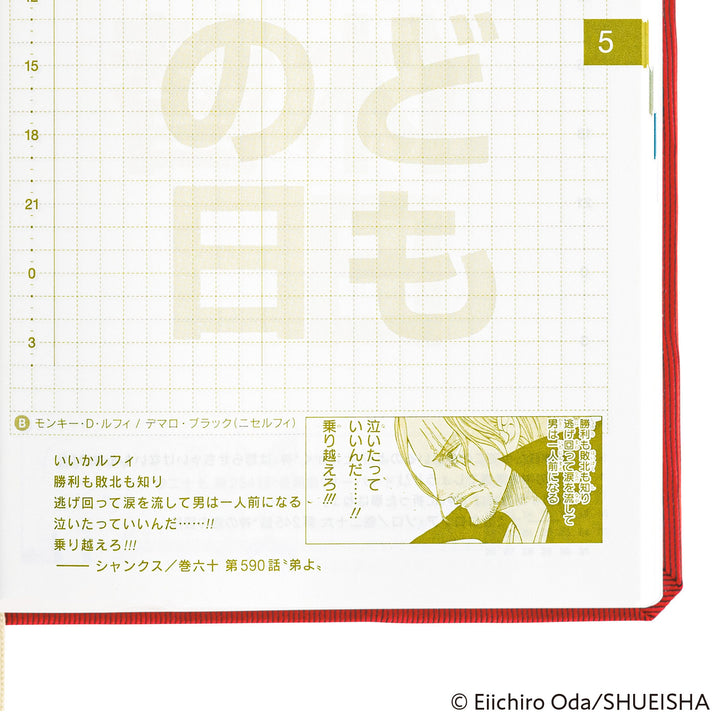 Hobonichi Techo 2025 A6 HON Planner | ONE PIECE magazine: DON! | Japanese