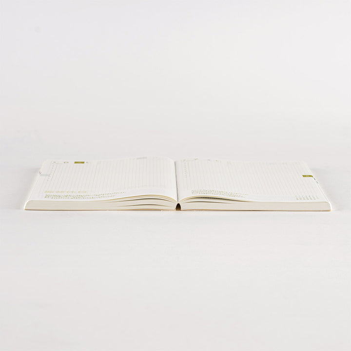 Hobonichi Techo 2025 A5 Cousin Planner | Book Only | April Start | Japanese