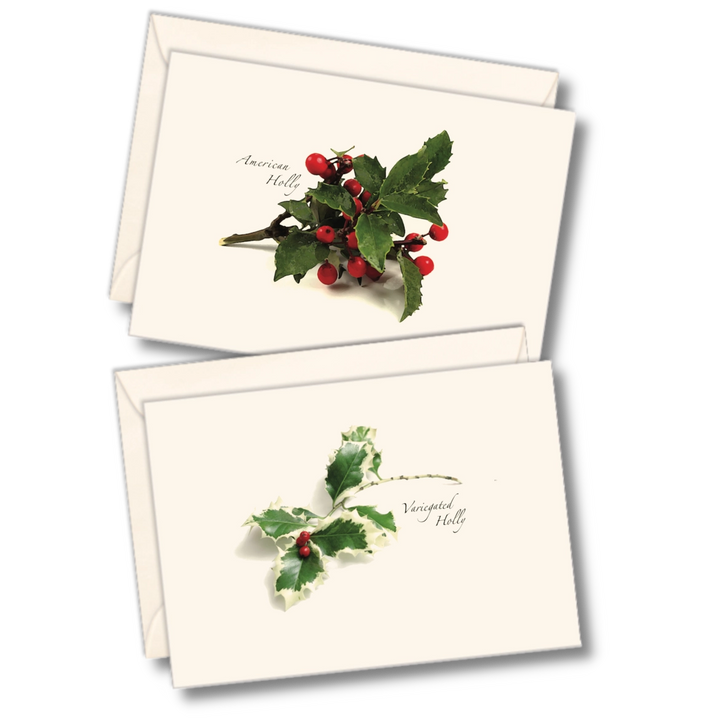 American Holly | 8 Card Set