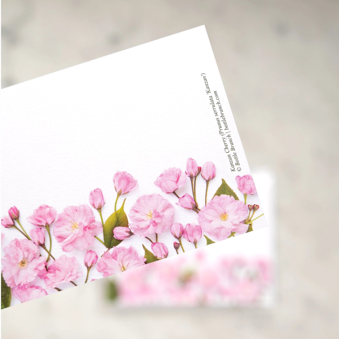 Cherry Blossom | 8 Flat Card Set