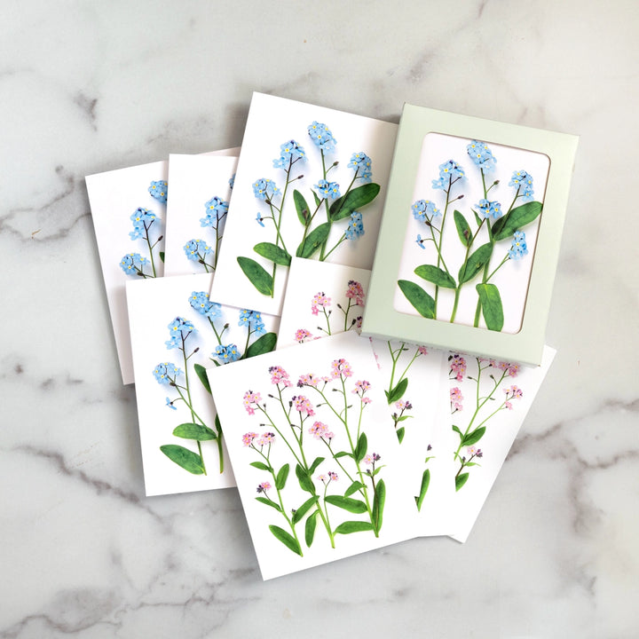 Forget-Me-Nots | Assorted 8 Card Set