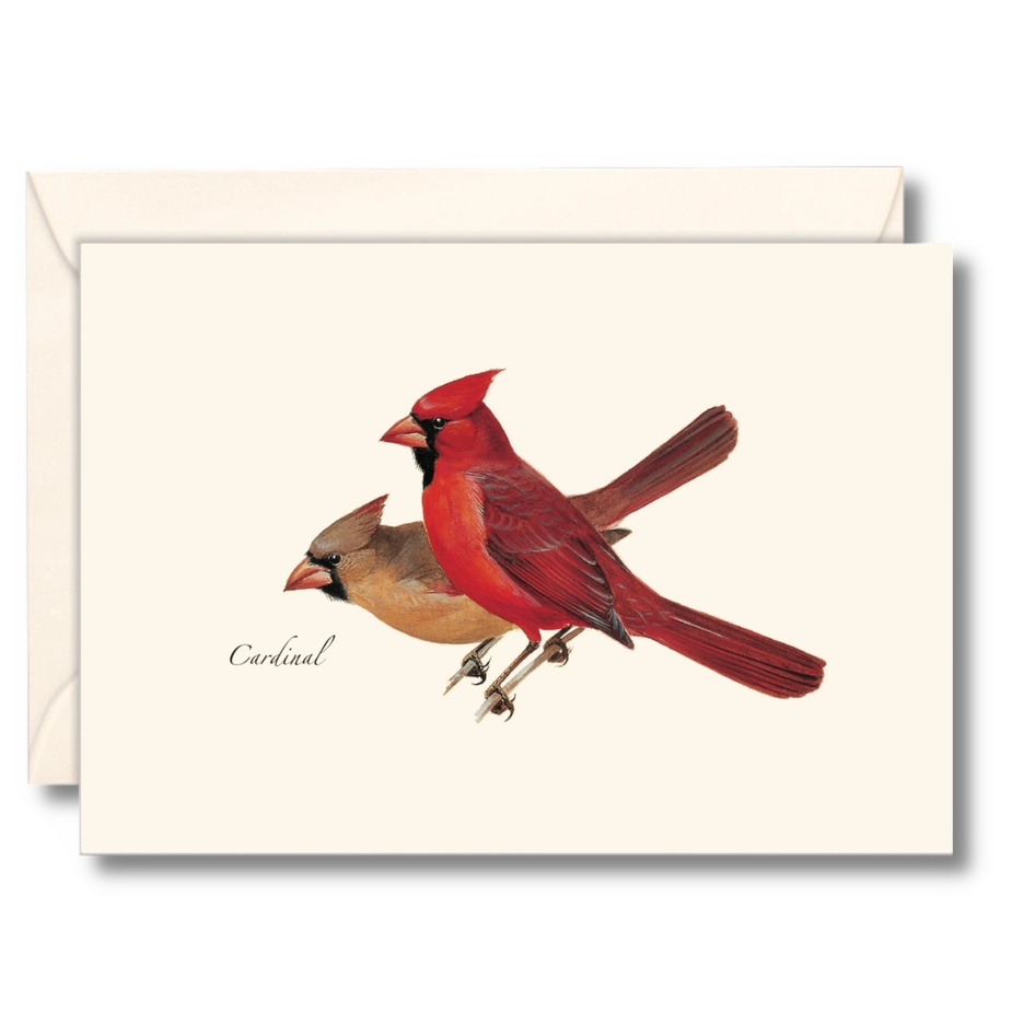 Cardinal | 8 Card Set