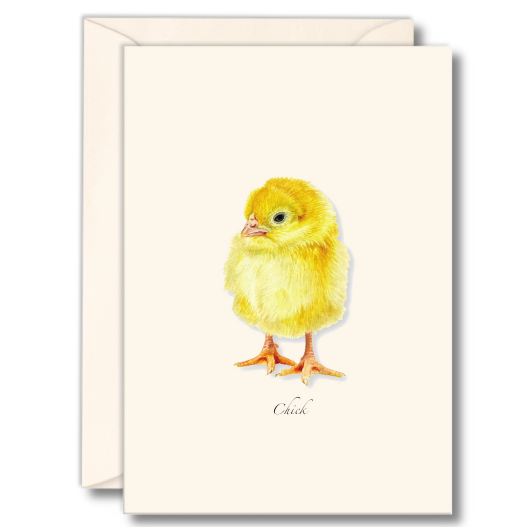 Chick | 8 Card Set