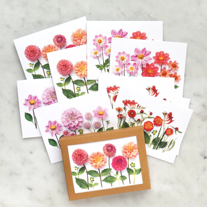 All the Dahlias | Assorted 8 Card Set