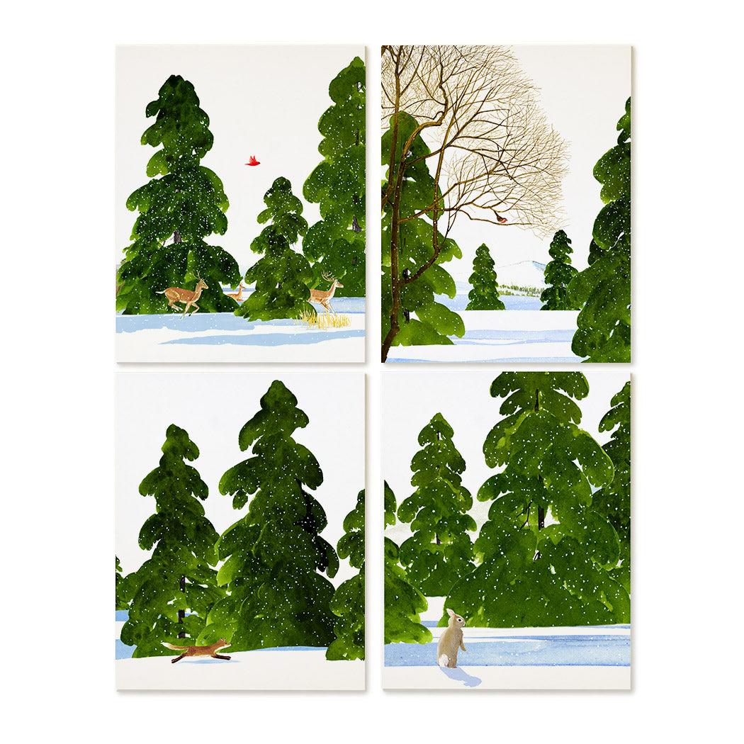 Evergreen Grove | Assorted 8 Card Set