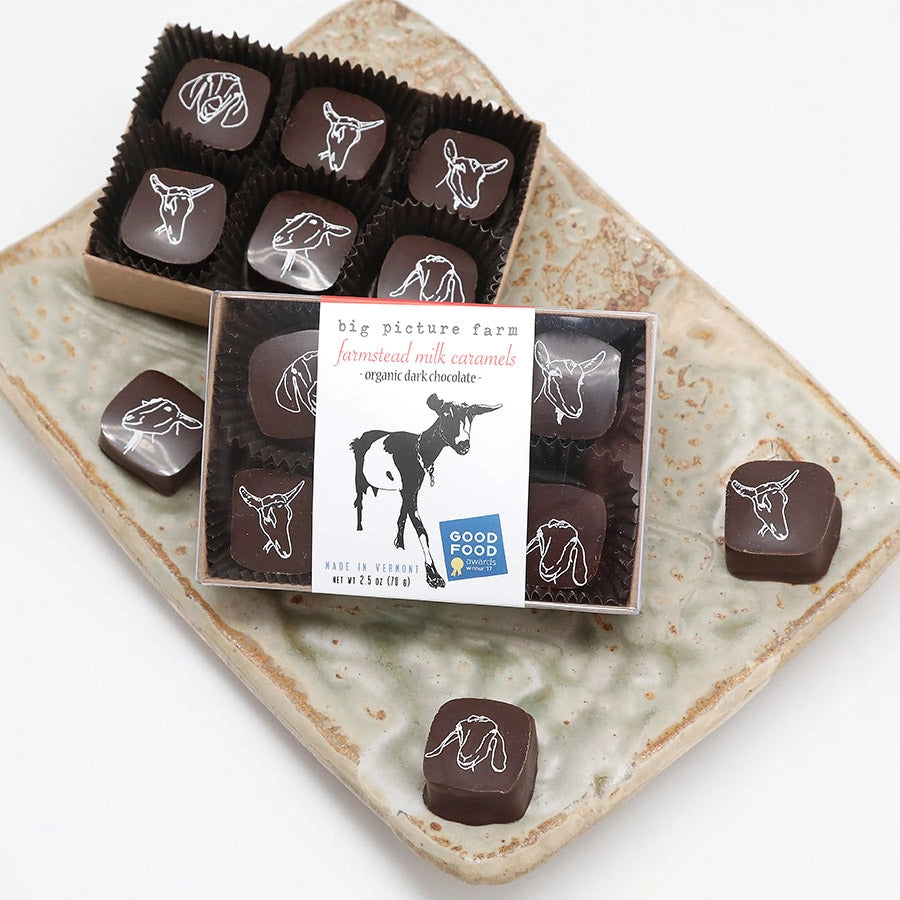 Chocolate Covered Goat Milk Caramel | 6 Piece Set