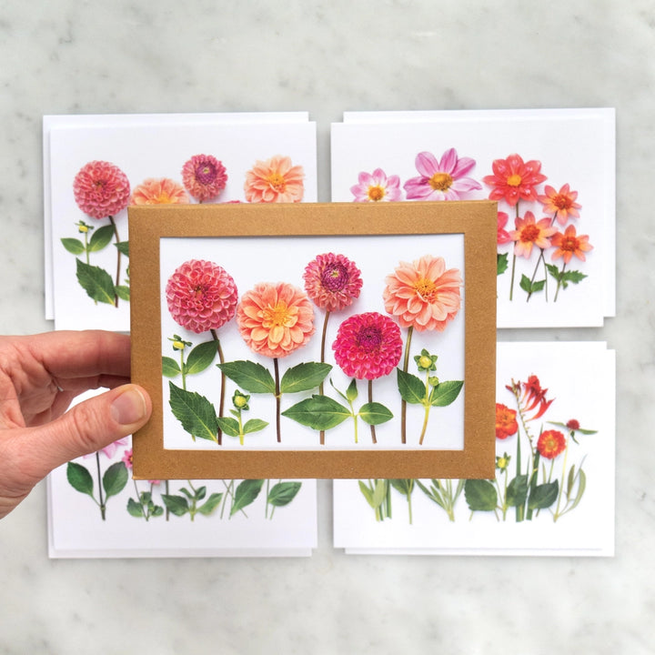 All the Dahlias | Assorted 8 Card Set