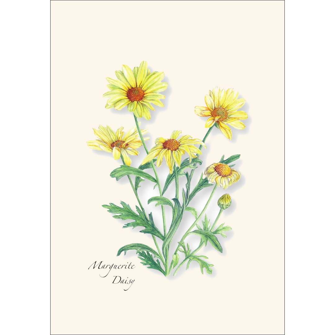 Garden Favorites | Assorted 8 Card Set