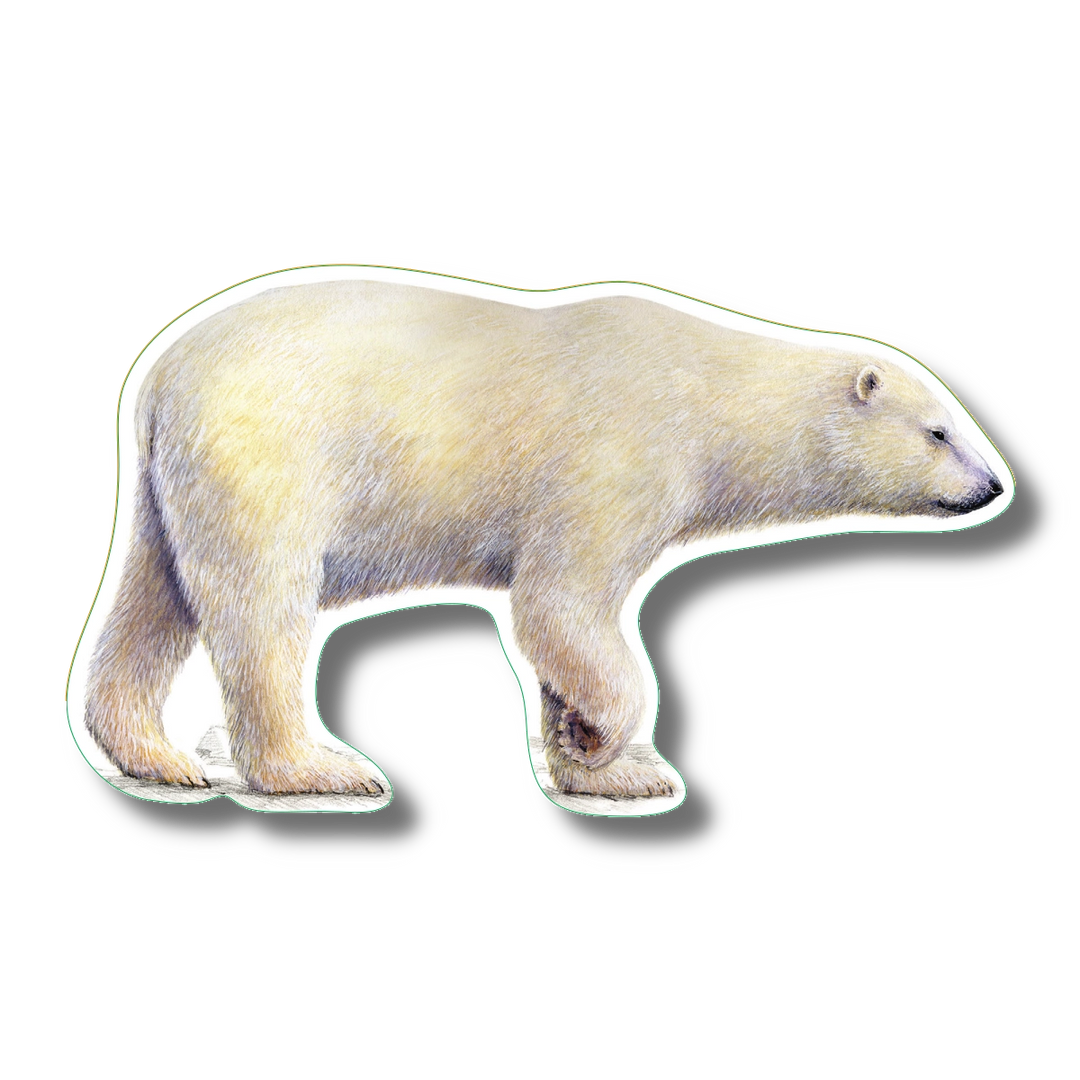 Polar Bear | Vinyl Sticker