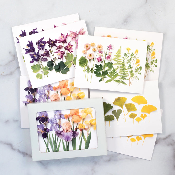 Vibrant Ombres | Assorted 8 Card Set