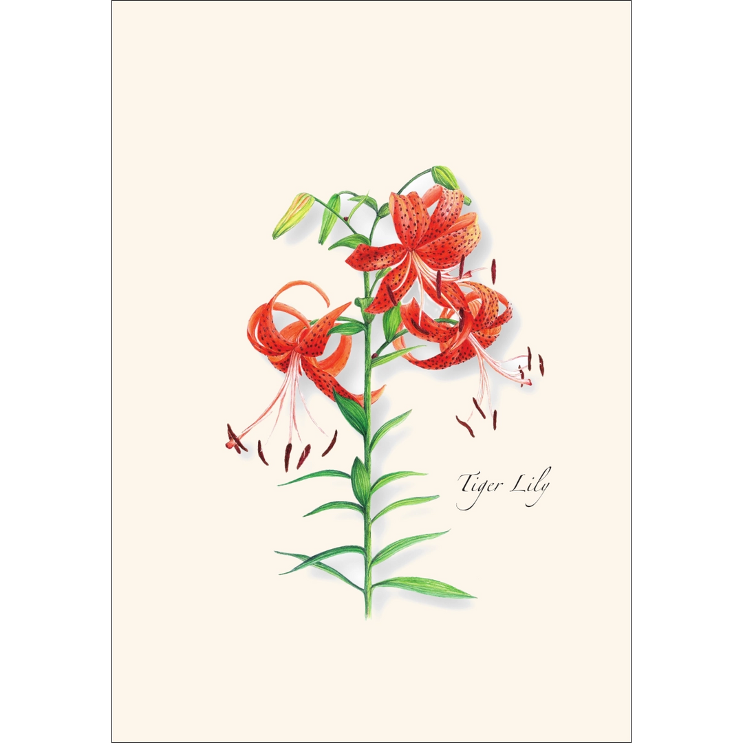 Garden Favorites | Assorted 8 Card Set