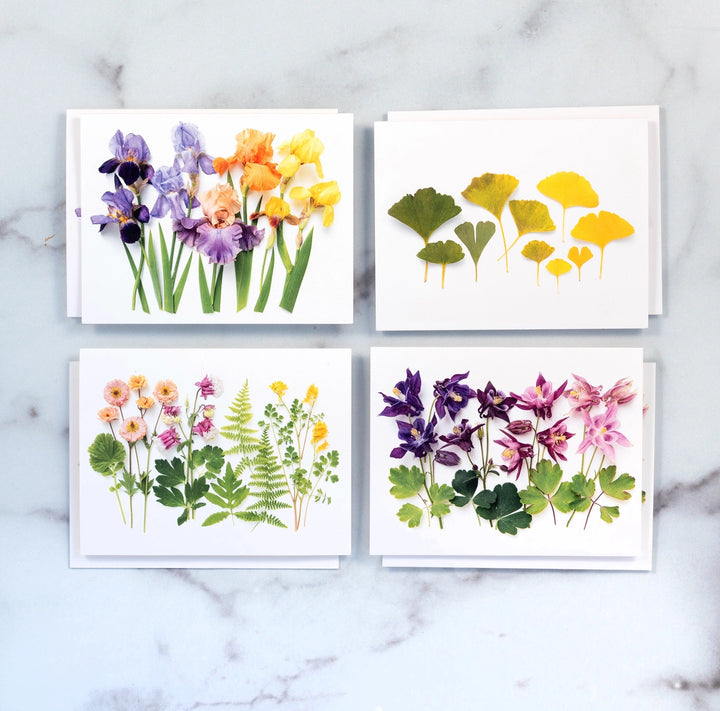 Vibrant Ombres | Assorted 8 Card Set