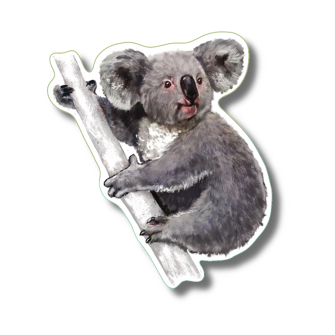 Koala | Vinyl Sticker