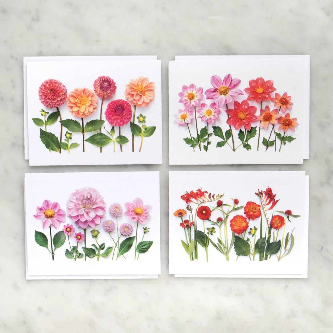 All the Dahlias | Assorted 8 Card Set