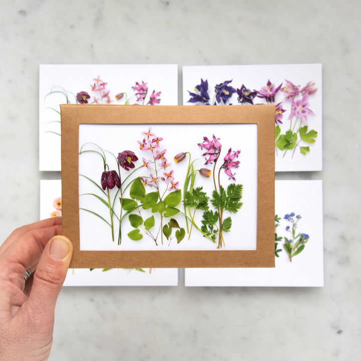 Spring Wildflowers | Assorted 8 Card Set