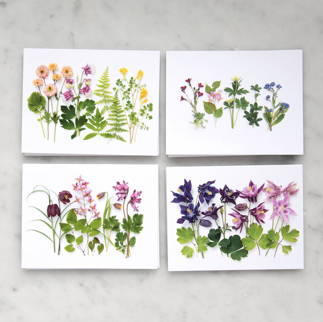 Spring Wildflowers | Assorted 8 Card Set