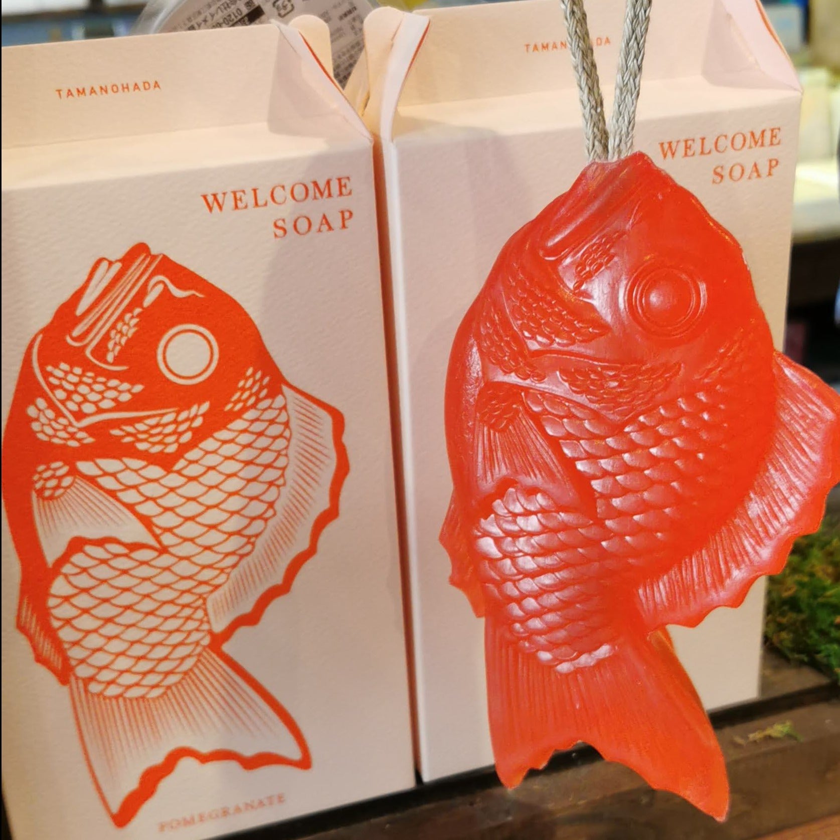 Fish- soap on a rope!