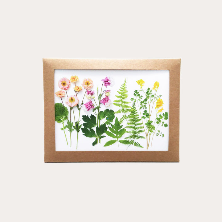 Spring Wildflowers | Assorted 8 Card Set