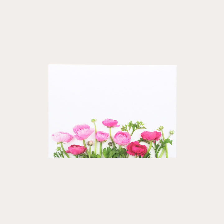 Pink Ranunculus | 8 Flat Card Set