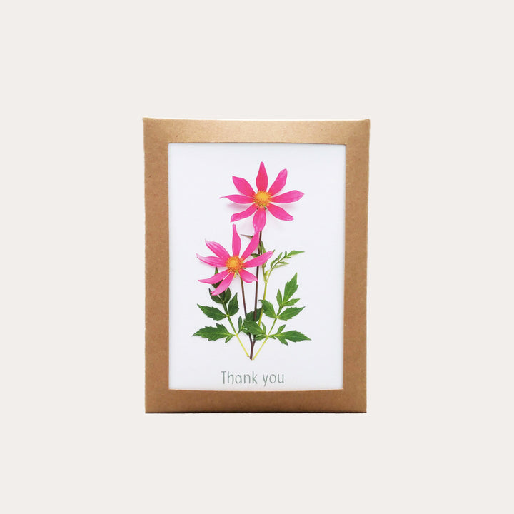 Thank You Notes | Assorted 8 Card Set