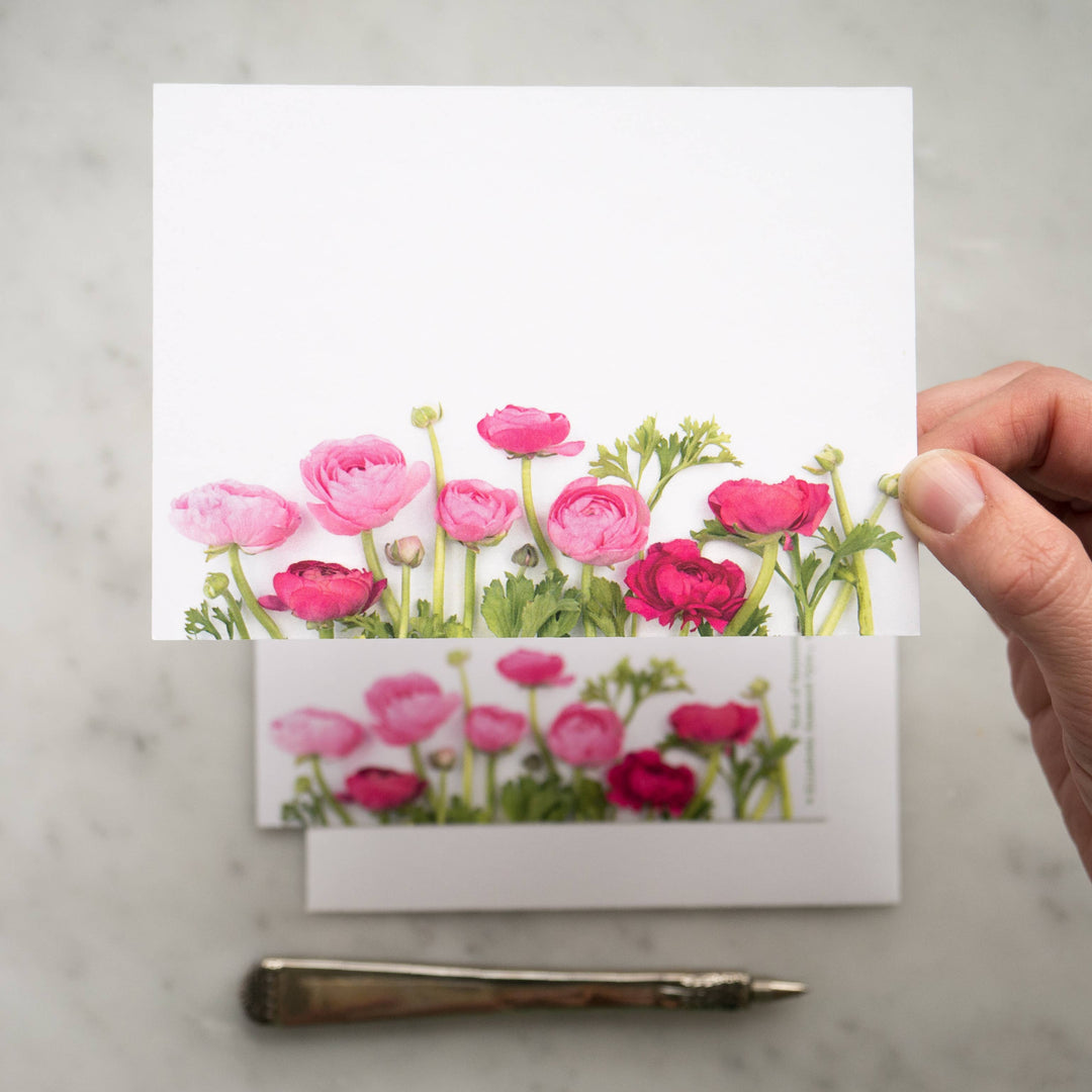 Pink Ranunculus | 8 Flat Card Set